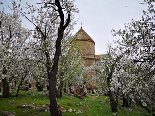 KARS-TURU-20